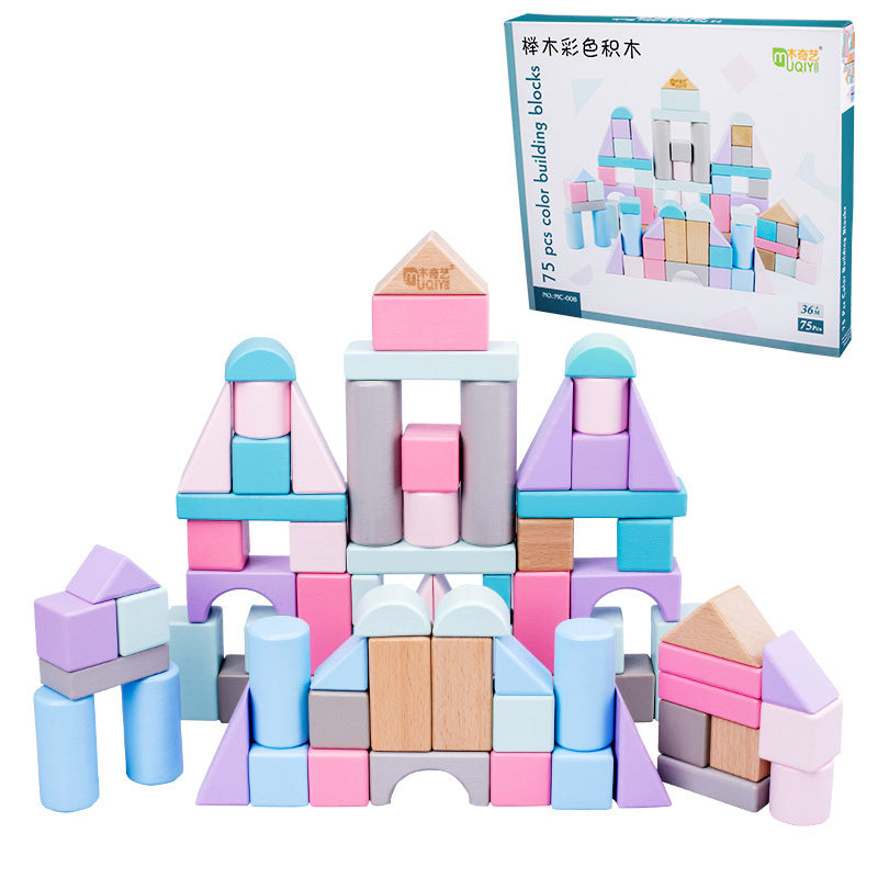 Wooden Puzzle Toys