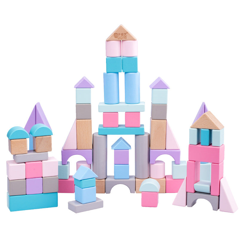 Wooden Puzzle Toys