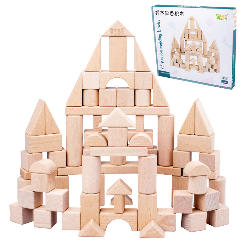 Wooden Puzzle Toys