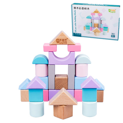 Wooden Puzzle Toys