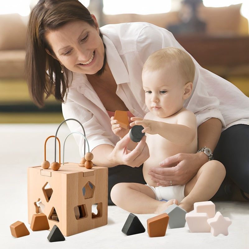 Wooden Geometric Box Puzzle
